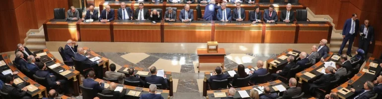 Two Official Meetings Organized by Parliamentary Committee to Discuss the Currency Board Option