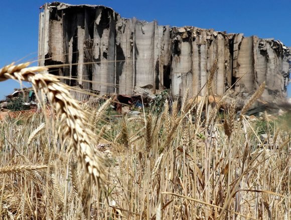 ازمة الطحين: زيادة خسائر المركزي بسبب الدعم