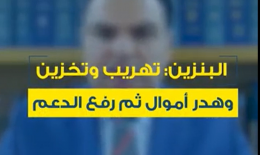 بالفيديو: مارديني لـ«جنوبية»: هذا ما جناه دعم المحروقات على أموال المودعين!ا