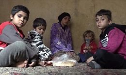 IMF Sabotages Currency Board Initiative in Lebanon, as Poverty Rate Reaches 80%