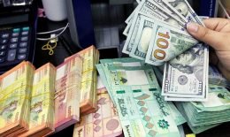 LIMS Continues the Campaign for the Dollarization of Prices