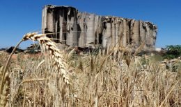 The War on Ukraine Impact on Bread and Electricity in Lebanon