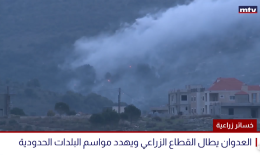 خسائر مزارعي الجنوب بعشرات ملايين الدولارات