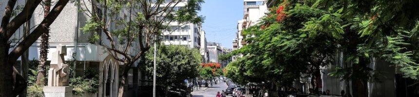 اللائحة الرمادية