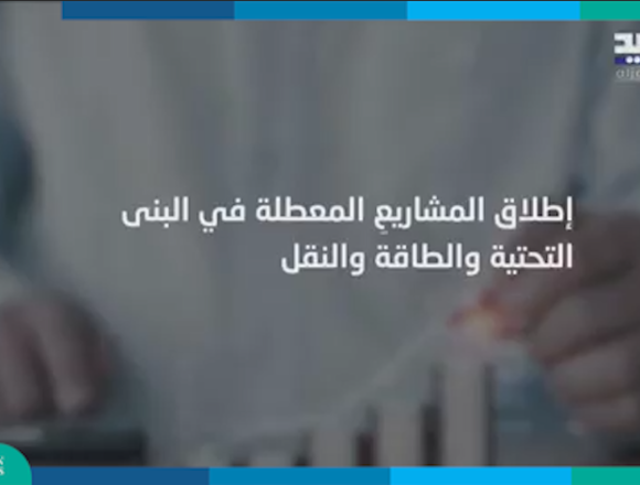 الشراكة بين القطاعين العام والخاص تنقذ القطاعات الحيوية لكن بشروط واضحة