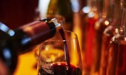 النبيذ الفرنسي والرسوم الرسوم