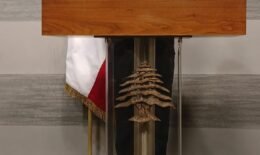 القطاع العام