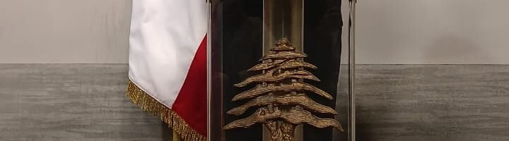 نواف سلام القطاع العام