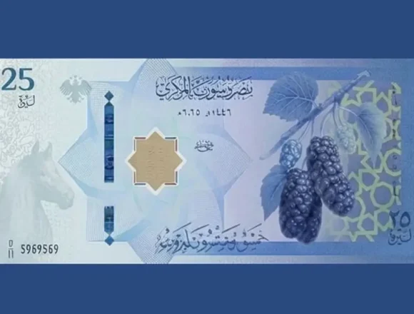 الليرة السورية الجديدة الأسواق المالية