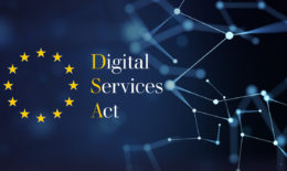 تنظيم الخدمات الرقمية