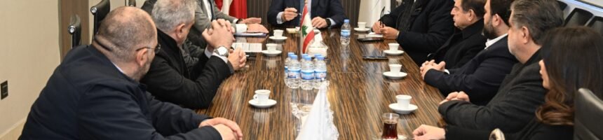 نقابات المهن الحرة الفجوة
