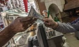 الغذائية