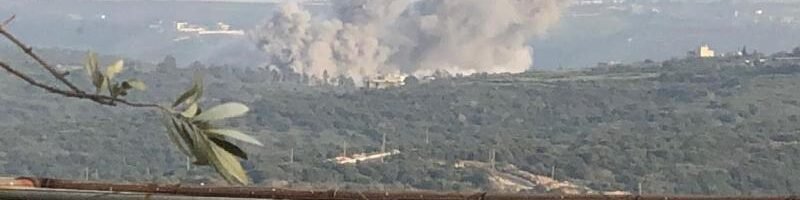 الزراعة خسائر الزراعة