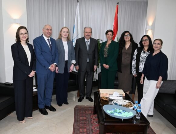 وزارة المالية وصندوق النقد METAC