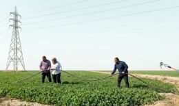 توتر الكهرباء الكهرباء