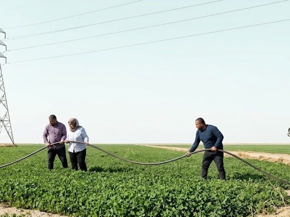 الكهرباء