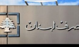 ودائع القطاع العام